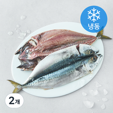 중매인신훈식 맑은소금 제주 자반고등어 특대 (냉동), 2개, 700g(2미)