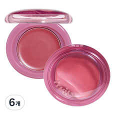 에뛰드 프루티 립앤치크 블러밤, 6개, 04 덜 익은 자두