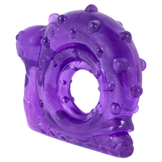 Petmate JW 蝸牛磨牙咬樂環 天然橡膠製成, 紫色, 1個