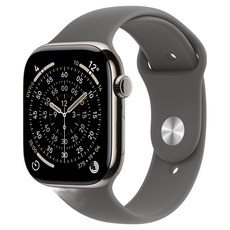 Apple 2025 애플워치 11, 내추럴, 42mm, GPS+Cellular, 티타늄,내추럴/스톤 그레이 스포츠 밴드, M/L