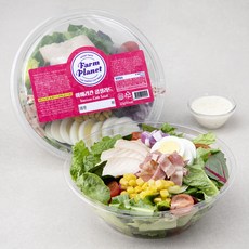 팜플래닛 아메리칸 콥샐러드, 225g, 2개