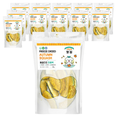 제이그린푸드 반려동물 오독오독맛집 동결건조 간식, 단호박, 20g, 12개