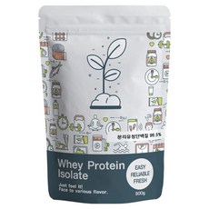 푸른빈 WPI 분리유청단백질 분말 가루, 500g, 1개