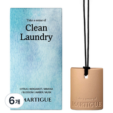 Martigue 車用香氛陶土擴香瓶, 6個, 潔淨衣物