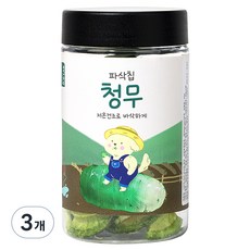 댕댕이연구소 강아지 디디랩 파삭칩 저온건조 과일 채소 간식, 청무, 50g, 3개
