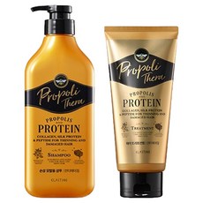 엘라스틴 프로폴리테라 샴푸 손상 모발용 500ml + 트리트먼트 300ml, 1개