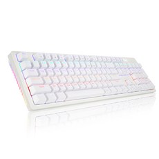 ABKO HACKER 軸體可替換 側面RGB燈光 雙射成型 電競 機械式 有線 標準型 鍵盤, 白色, K515, 茶軸