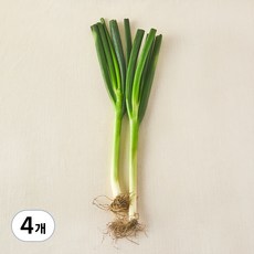 국내산 무농약 대파, 300g, 4개