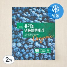 딜라잇가든 유기가공식품 인증 블루베리 (냉동), 500g, 2개