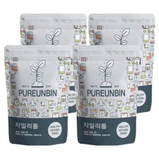 푸른빈 자일리톨 가루 분말, 500g, 4개