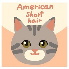 ARTJOY DIY 名畫 20 x 20 cm, 美國短毛貓
