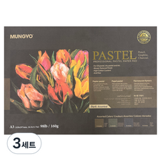 문교 파스텔 전용지 다크색 4종 세트, A3, 20매, 3세트