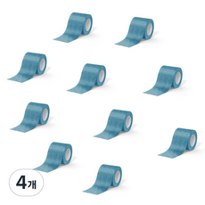 Daybyday 데이바이데이 밴드 5cm x 4.5m 블루, 4개, 10개입