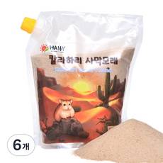 해씨 칼라하리 사막모래, 2kg, 6개