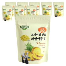 All바른농장 프리미엄 동결건조과일 파인애플 칩, 20g, 9개