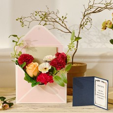 ASPASIA Andry 康乃馨香皂花信紙反轉感謝零用錢盒 + 獎狀卡片, 紅色