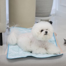 마이또 반려동물 쿨매트, 파스텔민트, 1개