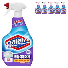 유한락스 곰팡이제거제, 900ml, 6개