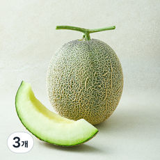곰곰 머스크 멜론, 2.5kg, 3개