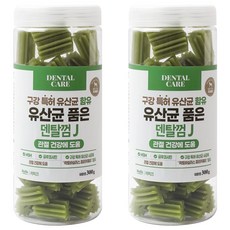 라피끄 강아지 유산균 품은 덴탈껌, 관절 건강, 300g, 2개
