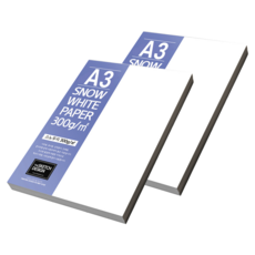 加厚雪銅紙, 100個, A3