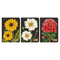 CAVALLINI&CO. 口袋筆記本 3本, 芍藥花, 1組