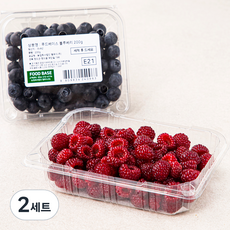 푸드베이스 산지직송 산딸기 200g + 블루베리 200g 세트, 2세트