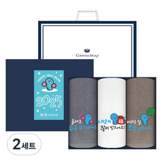 송월타월 2025년 신년 설 명절 푸른뱀 자수 호텔 수건 150g 30수 면사 3종 선물세트 + 쇼핑백, 아이보리 + 그레이 + 브라운, 2세트