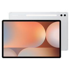 SAMSUNG 三星 Galaxy Tab S10+ 平板電腦 原廠保固, 鉑金銀, 256GB, Wi-Fi