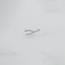 미퓨어 여성용 별자리 귀걸이 06게자리