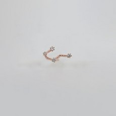 미퓨어 여성용 별자리 귀걸이 04황소자리