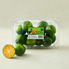 올레길 청귤, 1개, 1kg