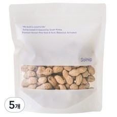 솔닙 국산 피땅콩, 250g, 5개