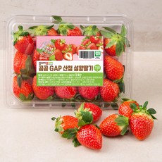 곰곰 GAP 산청 설향딸기, 750g, 1팩