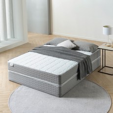 디아스침대 비너스 CL라텍스 독립 매트리스 방문설치, 240mm, 미디엄소프트