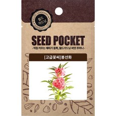 월드가드닝 행복한 텃밭 좋은 씨앗 봉선화씨 1000개, 1개