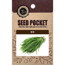 월드가드닝 행복한 텃밭 좋은 씨앗 부추씨 2000개, 1개