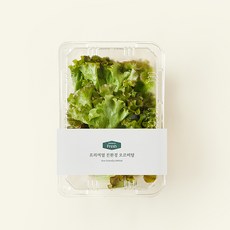 프리미엄 친환경 오르비탈, 100g, 1개