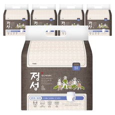 정성 남녀공용 매직팬티 성인기저귀, 특대형, 10개입, 5개