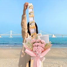 EPLYN 康乃馨鈔票花束 +提袋+opp塑膠包裝袋, 粉色的, 1組