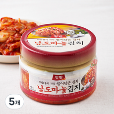 양반 동원 남도마늘 썰어담은 김치, 480g, 5개