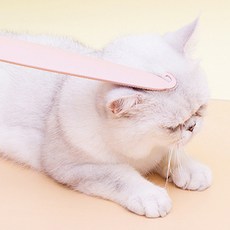 티에프펫 고양이 빗 그루밍 스틱, 핑크, 1개