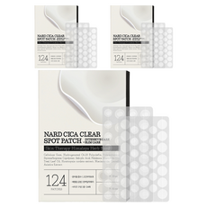 부케가르니 나드 시카 클리어 스팟패치 혼합형 집중케어+슬림케어 124매, 3개