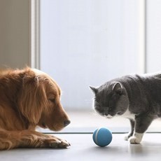 Petdays 自動陪玩防水寵物跳跳球 77mm, 藍色, 1顆