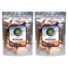 동이약초 중국산 영지버섯 통, 150g, 2개