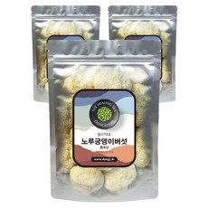 동이약초 중국산 노루궁뎅이버섯, 150g, 3개