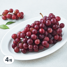 칠레산 H&B 적포도, 4개, 600g