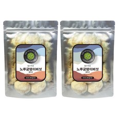 동이약초 중국산 노루궁뎅이버섯, 250g, 2개