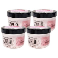 ESTESOPHY 莓果鹽磨砂膏, 680g, 4個