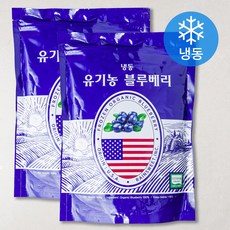 미국산 유기가공식품 인증 블루베리 (냉동), 500g, 2개